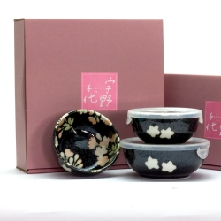 Hana Nagomi 3 Nesting Japanese Designer Bowls with PET Lids Gift Set